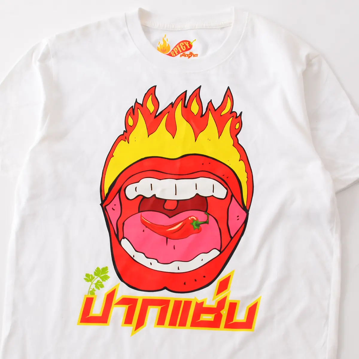 เครื่องสกรีน DTF Cheetah DTF เครื่องสกรีน DTF Cheetah DTF