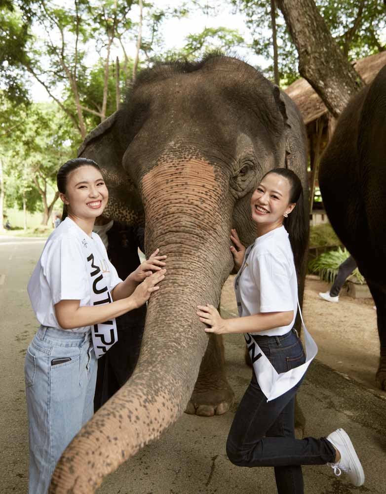 พื้นที่ให้บริการ