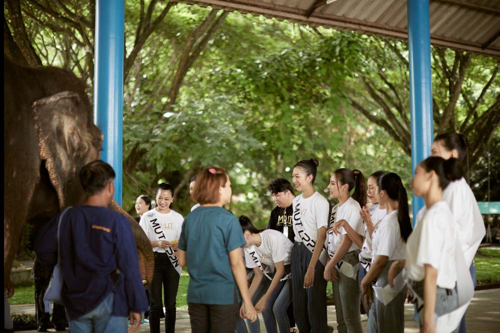พื้นที่ให้บริการ