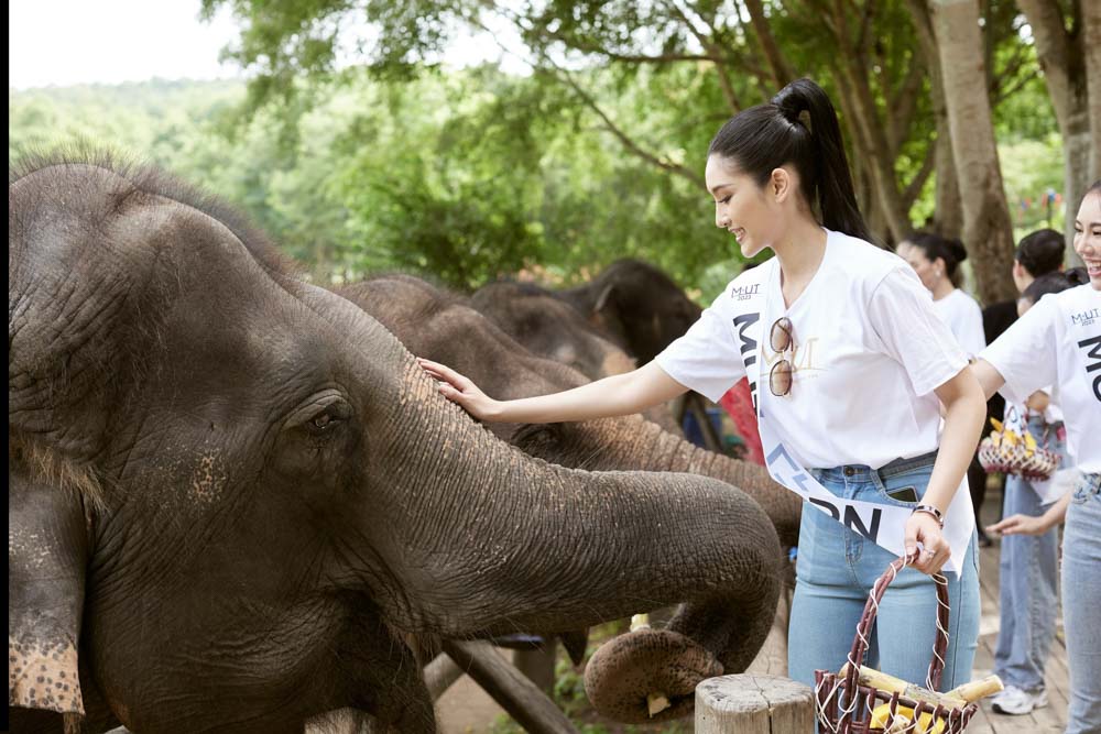 พื้นที่ให้บริการ