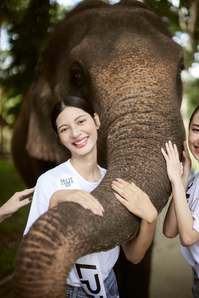 พื้นที่ให้บริการ