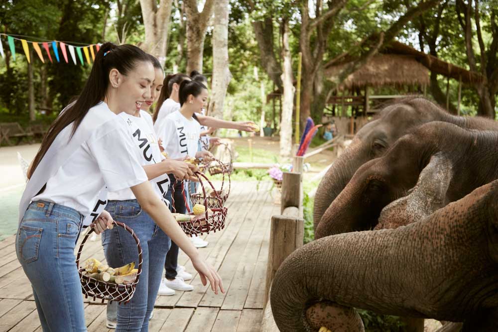 พื้นที่ให้บริการ